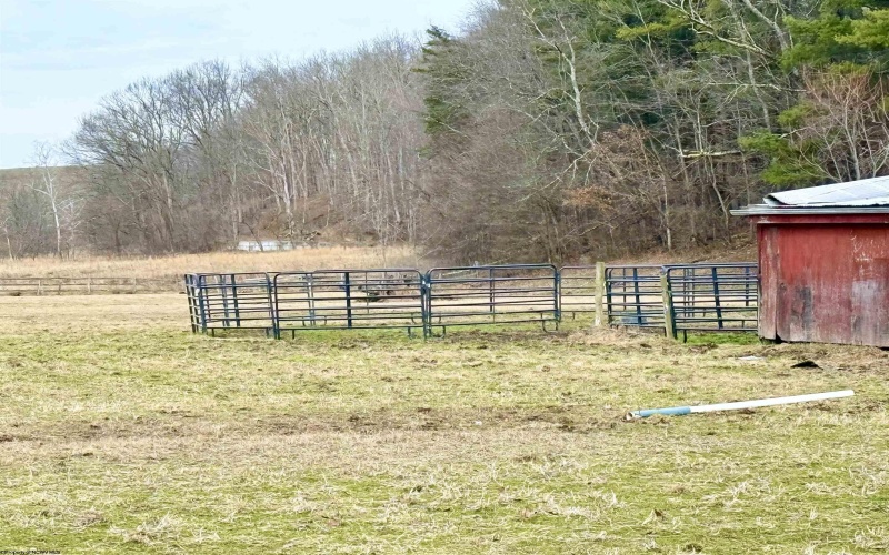 407 Beech Hollow Road, Bridgeport, West Virginia 20659, ,Lots/land,For Sale,Beech Hollow,10163050