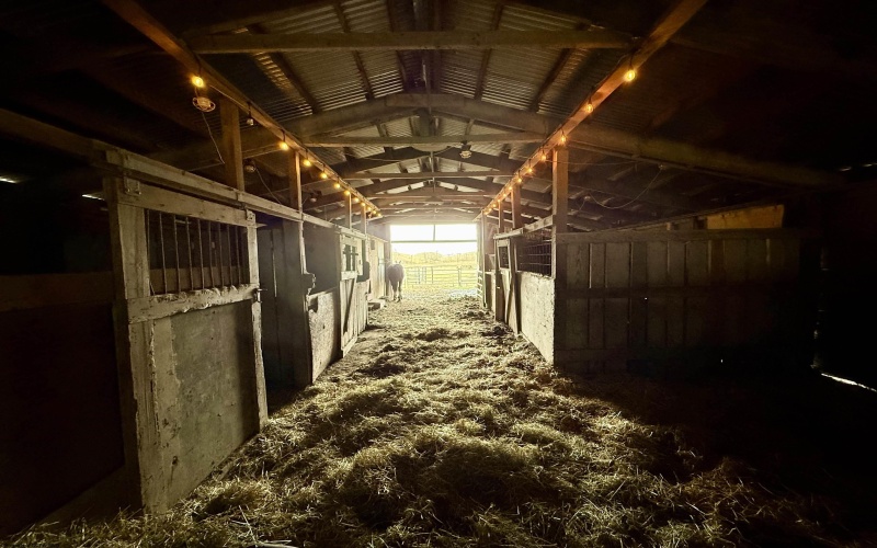 407 Beech Hollow Road, Bridgeport, West Virginia 20659, ,Lots/land,For Sale,Beech Hollow,10163050