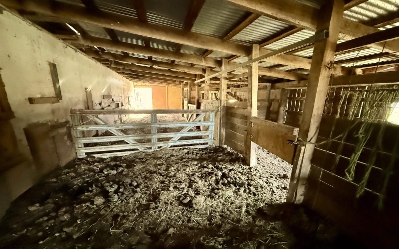 407 Beech Hollow Road, Bridgeport, West Virginia 20659, ,Lots/land,For Sale,Beech Hollow,10163050