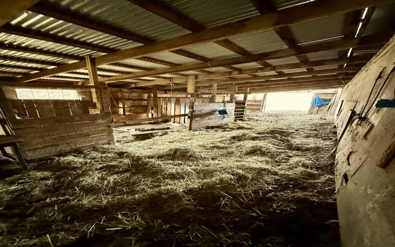 407 Beech Hollow Road, Bridgeport, West Virginia 20659, ,Lots/land,For Sale,Beech Hollow,10163050