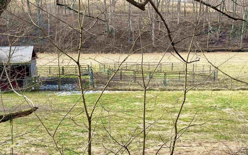 407 Beech Hollow Road, Bridgeport, West Virginia 20659, ,Lots/land,For Sale,Beech Hollow,10163050