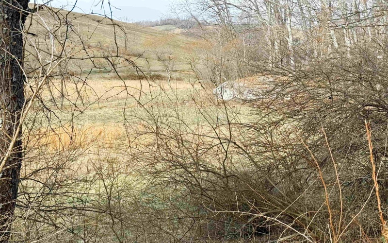 407 Beech Hollow Road, Bridgeport, West Virginia 20659, ,Lots/land,For Sale,Beech Hollow,10163050