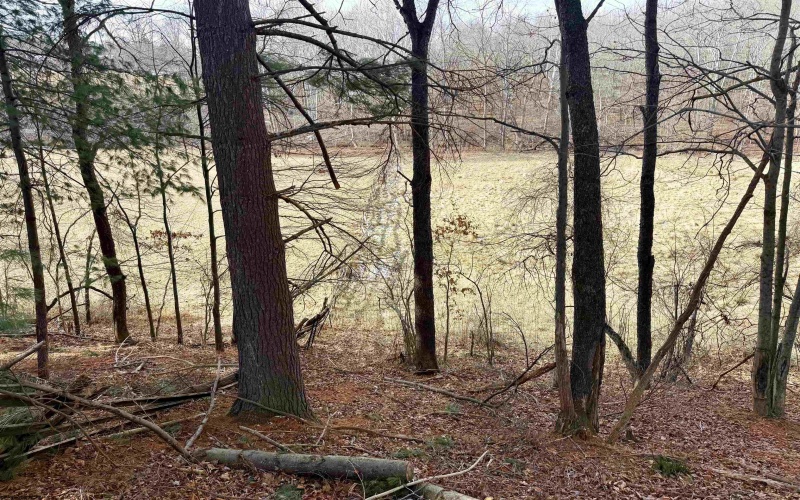 407 Beech Hollow Road, Bridgeport, West Virginia 20659, ,Lots/land,For Sale,Beech Hollow,10163050