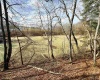 407 Beech Hollow Road, Bridgeport, West Virginia 20659, ,Lots/land,For Sale,Beech Hollow,10163050