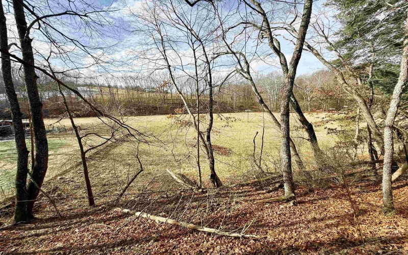 407 Beech Hollow Road, Bridgeport, West Virginia 20659, ,Lots/land,For Sale,Beech Hollow,10163050