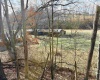 407 Beech Hollow Road, Bridgeport, West Virginia 20659, ,Lots/land,For Sale,Beech Hollow,10163050
