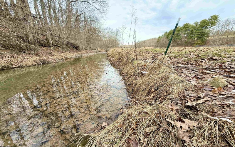 407 Beech Hollow Road, Bridgeport, West Virginia 20659, ,Lots/land,For Sale,Beech Hollow,10163050