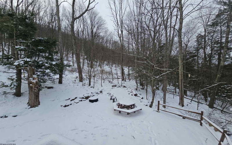 390 Dolly Lane, Dryfork, West Virginia 26263, 2 Bedrooms Bedrooms, 4 Rooms Rooms,1 BathroomBathrooms,Single Family Detached,For Sale,Dolly,10163052