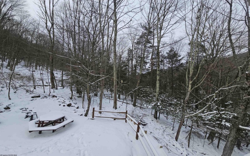 390 Dolly Lane, Dryfork, West Virginia 26263, 2 Bedrooms Bedrooms, 4 Rooms Rooms,1 BathroomBathrooms,Single Family Detached,For Sale,Dolly,10163052