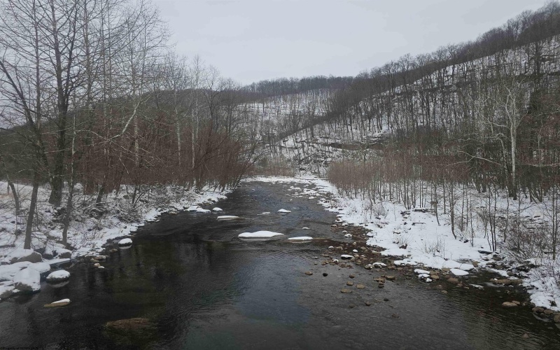 390 Dolly Lane, Dryfork, West Virginia 26263, 2 Bedrooms Bedrooms, 4 Rooms Rooms,1 BathroomBathrooms,Single Family Detached,For Sale,Dolly,10163052