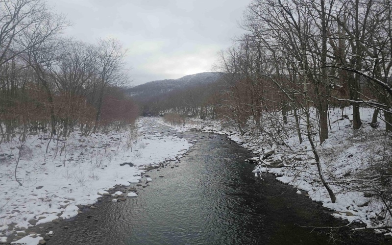 390 Dolly Lane, Dryfork, West Virginia 26263, 2 Bedrooms Bedrooms, 4 Rooms Rooms,1 BathroomBathrooms,Single Family Detached,For Sale,Dolly,10163052