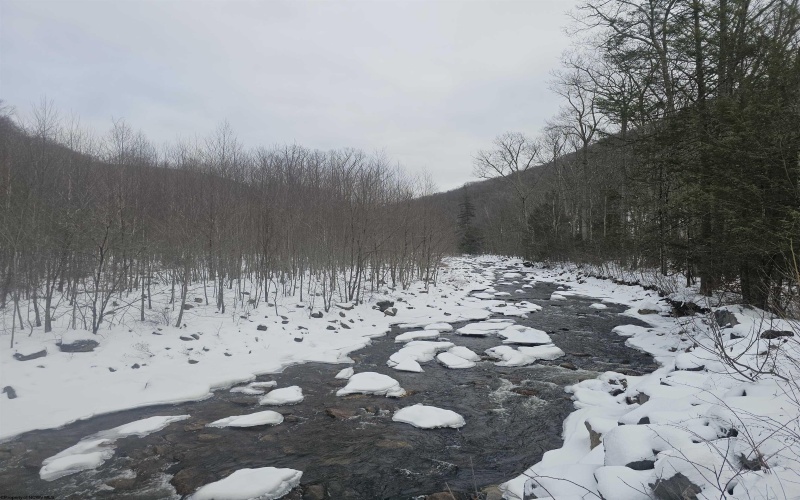 390 Dolly Lane, Dryfork, West Virginia 26263, 2 Bedrooms Bedrooms, 4 Rooms Rooms,1 BathroomBathrooms,Single Family Detached,For Sale,Dolly,10163052