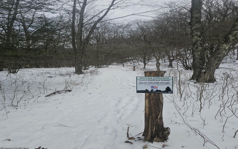 390 Dolly Lane, Dryfork, West Virginia 26263, 2 Bedrooms Bedrooms, 4 Rooms Rooms,1 BathroomBathrooms,Single Family Detached,For Sale,Dolly,10163052