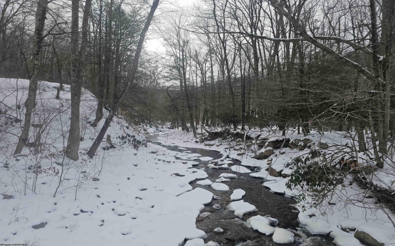 390 Dolly Lane, Dryfork, West Virginia 26263, 2 Bedrooms Bedrooms, 4 Rooms Rooms,1 BathroomBathrooms,Single Family Detached,For Sale,Dolly,10163052