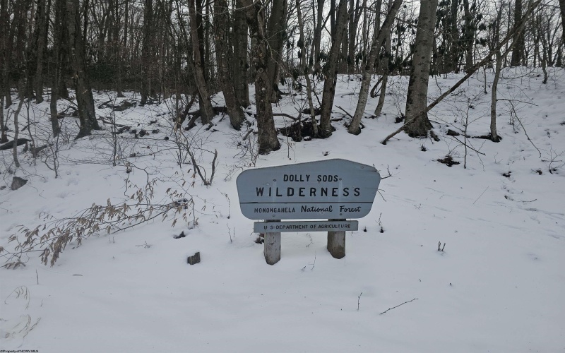 390 Dolly Lane, Dryfork, West Virginia 26263, 2 Bedrooms Bedrooms, 4 Rooms Rooms,1 BathroomBathrooms,Single Family Detached,For Sale,Dolly,10163052