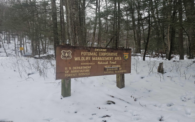 390 Dolly Lane, Dryfork, West Virginia 26263, 2 Bedrooms Bedrooms, 4 Rooms Rooms,1 BathroomBathrooms,Single Family Detached,For Sale,Dolly,10163052