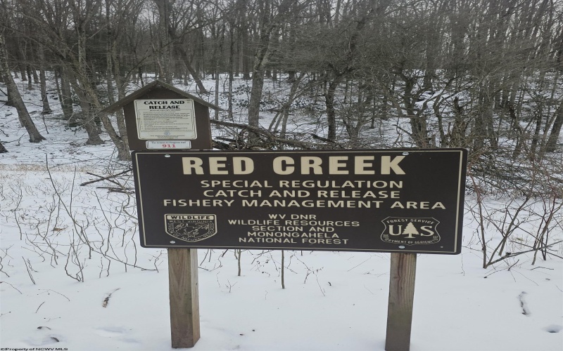 390 Dolly Lane, Dryfork, West Virginia 26263, 2 Bedrooms Bedrooms, 4 Rooms Rooms,1 BathroomBathrooms,Single Family Detached,For Sale,Dolly,10163052