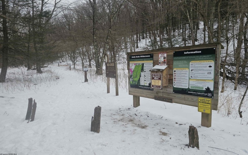 390 Dolly Lane, Dryfork, West Virginia 26263, 2 Bedrooms Bedrooms, 4 Rooms Rooms,1 BathroomBathrooms,Single Family Detached,For Sale,Dolly,10163052