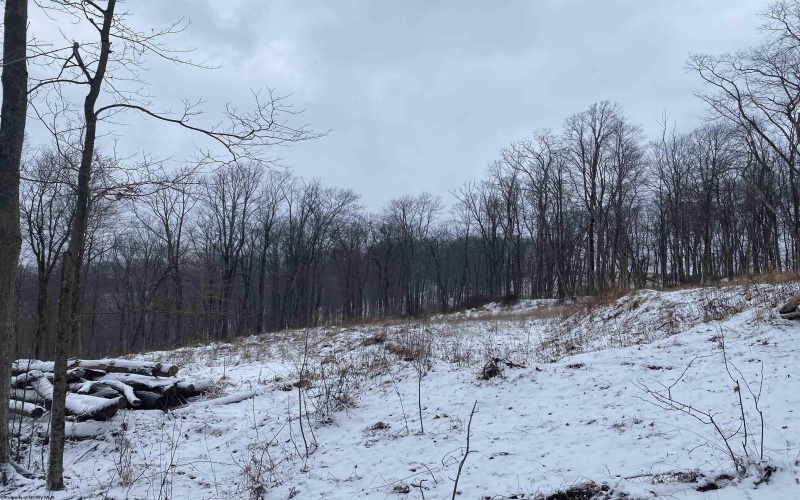 TBD Stemple Ridge Road, Aurora, West Virginia 26705, ,Lots/land,For Sale,Stemple Ridge,10163057