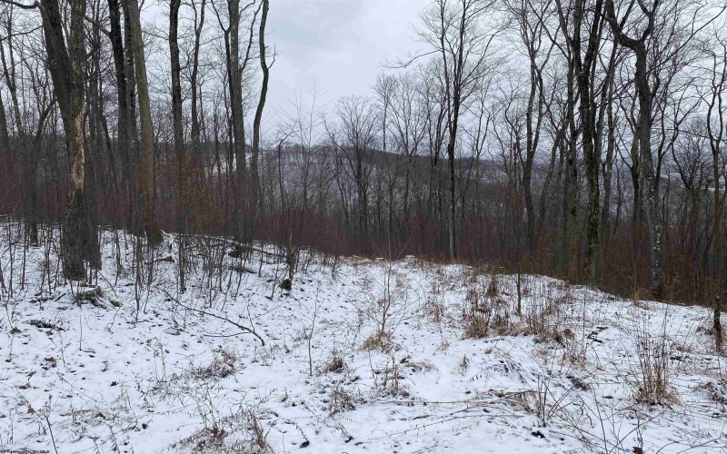 TBD Stemple Ridge Road, Aurora, West Virginia 26705, ,Lots/land,For Sale,Stemple Ridge,10163057