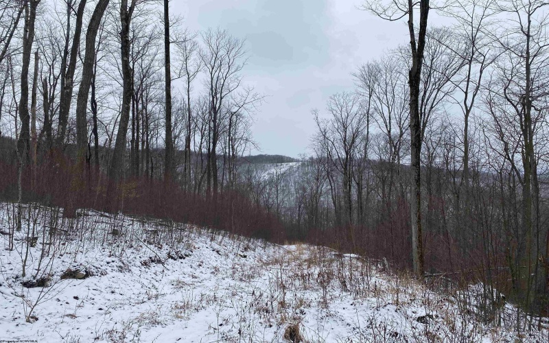 TBD Stemple Ridge Road, Aurora, West Virginia 26705, ,Lots/land,For Sale,Stemple Ridge,10163057