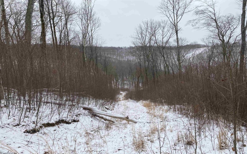 TBD Stemple Ridge Road, Aurora, West Virginia 26705, ,Lots/land,For Sale,Stemple Ridge,10163057