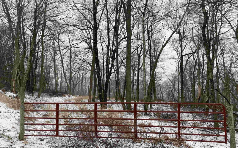 TBD Stemple Ridge Road, Aurora, West Virginia 26705, ,Lots/land,For Sale,Stemple Ridge,10163057