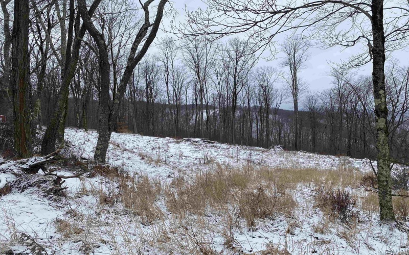 TBD Stemple Ridge Road, Aurora, West Virginia 26705, ,Lots/land,For Sale,Stemple Ridge,10163057