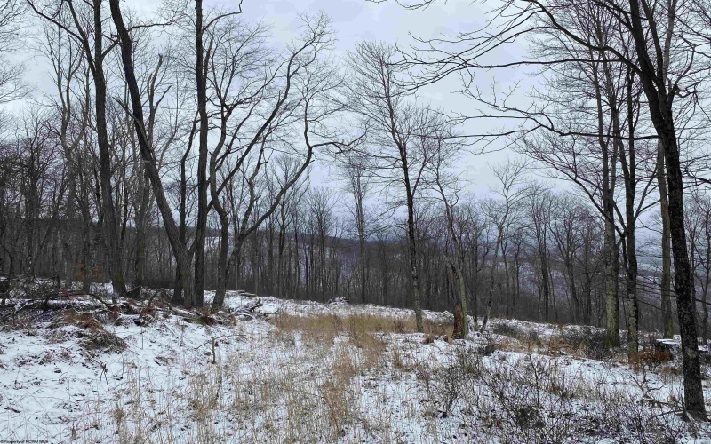 TBD Stemple Ridge Road, Aurora, West Virginia 26705, ,Lots/land,For Sale,Stemple Ridge,10163057