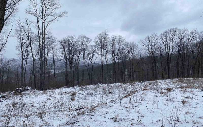 TBD Stemple Ridge Road, Aurora, West Virginia 26705, ,Lots/land,For Sale,Stemple Ridge,10163057