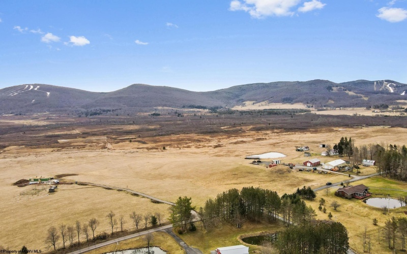 TBD Cortland Road, Davis, West Virginia 26260, ,Lots/land,For Sale,Cortland,10163070