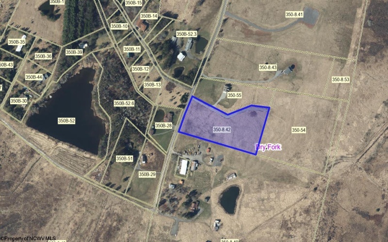 TBD Cortland Road, Davis, West Virginia 26260, ,Lots/land,For Sale,Cortland,10163070