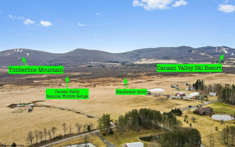 TBD Cortland Road, Davis, West Virginia 26260, ,Lots/land,For Sale,Cortland,10163070