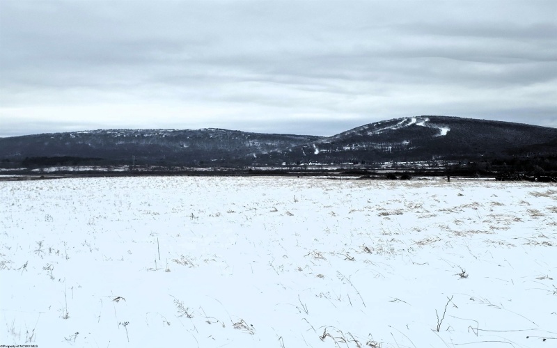 TBD Cortland Road, Davis, West Virginia 26260, ,Lots/land,For Sale,Cortland,10163070