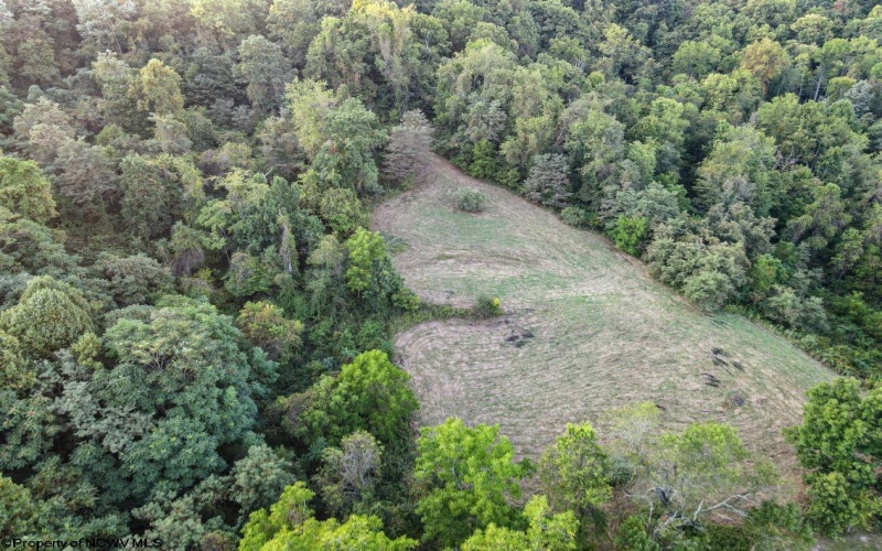 Lot 3 Lynch Road, Morgantown, West Virginia 26501, ,Lots/land,For Sale,Lynch,10159690