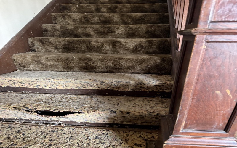 112 Cornell Avenue, Morgantown, West Virginia 26505, ,Multi-unit/income,For Sale,Cornell,10163091