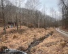 1315 Bear Run Road, Roanoke, West Virginia 26407, ,Lots/land,For Sale,Bear Run,10163082