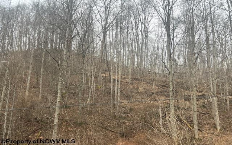 1315 Bear Run Road, Roanoke, West Virginia 26407, ,Lots/land,For Sale,Bear Run,10163082