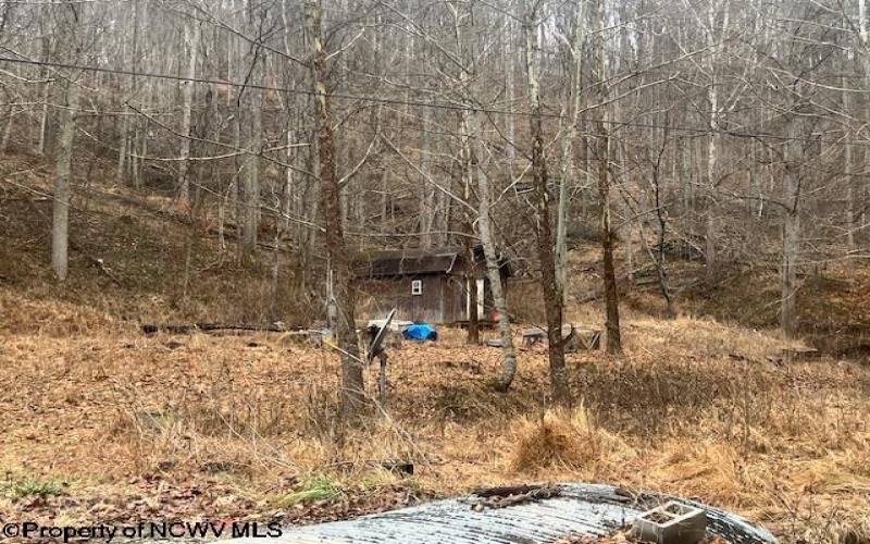 1315 Bear Run Road, Roanoke, West Virginia 26407, ,Lots/land,For Sale,Bear Run,10163082