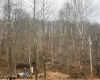 1315 Bear Run Road, Roanoke, West Virginia 26407, ,Lots/land,For Sale,Bear Run,10163082