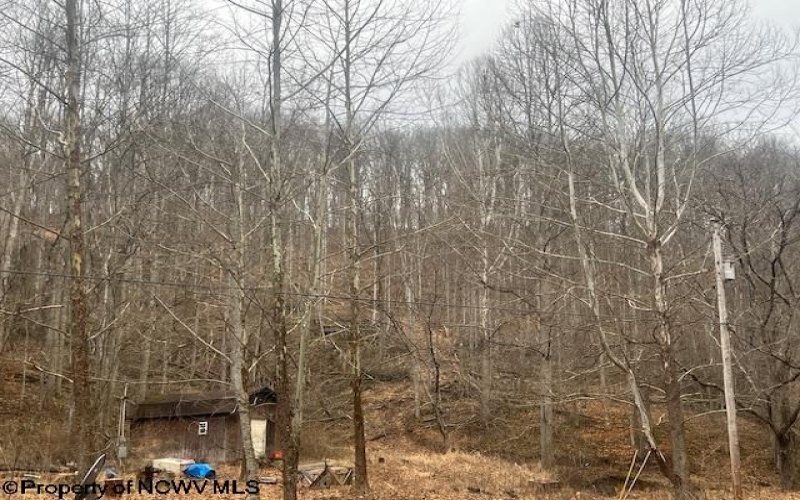 1315 Bear Run Road, Roanoke, West Virginia 26407, ,Lots/land,For Sale,Bear Run,10163082