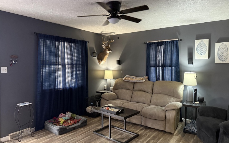 49 New York Avenue, West Union, West Virginia 26456, 3 Bedrooms Bedrooms, 6 Rooms Rooms,1 BathroomBathrooms,Single Family Detached,For Sale,New York,10163085