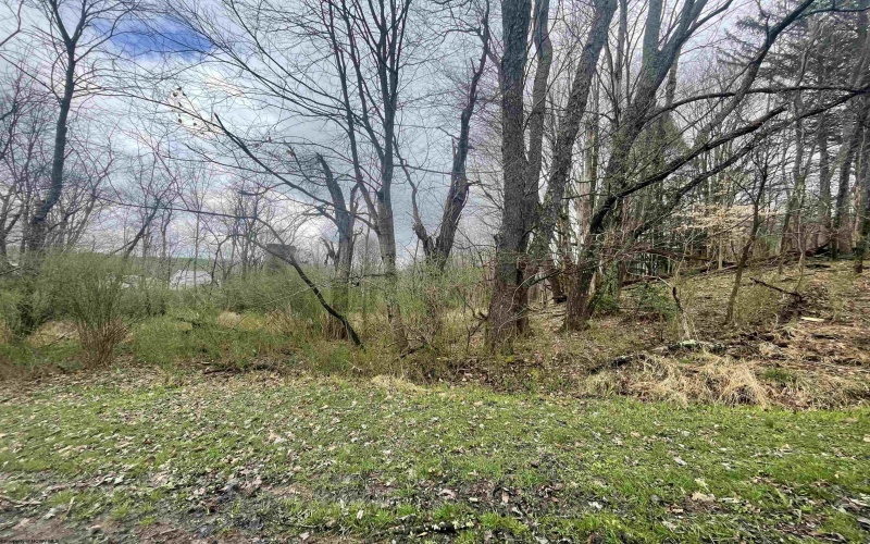 TBD Glassworks Road, Buckhannon, West Virginia 26201, ,Lots/land,For Sale,Glassworks,10163099