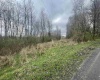 TBD Glassworks Road, Buckhannon, West Virginia 26201, ,Lots/land,For Sale,Glassworks,10163099
