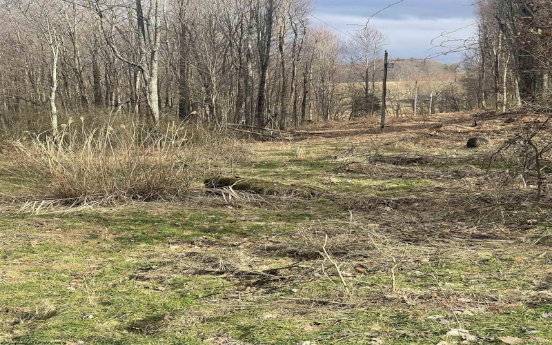 TBD Glassworks Road, Buckhannon, West Virginia 26201, ,Lots/land,For Sale,Glassworks,10163099