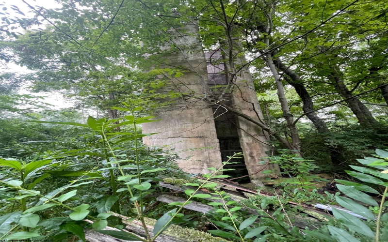 TBD Glassworks Road, Buckhannon, West Virginia 26201, ,Lots/land,For Sale,Glassworks,10163099