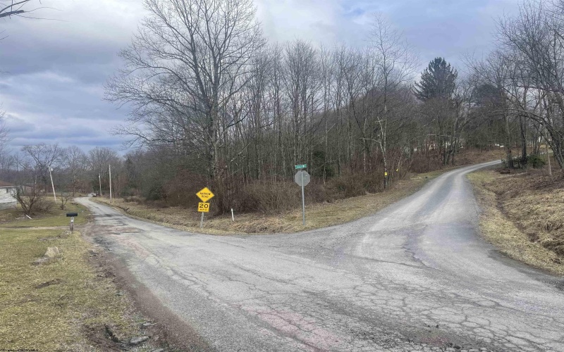 TBD Glassworks Road, Buckhannon, West Virginia 26201, ,Lots/land,For Sale,Glassworks,10163099