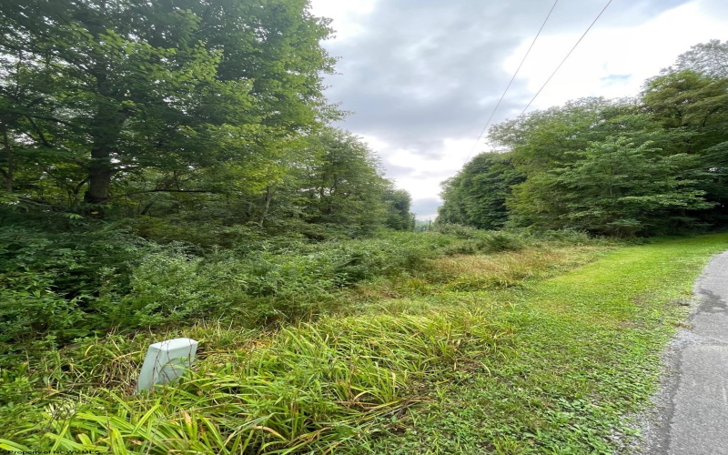 TBD Glassworks Road, Buckhannon, West Virginia 26201, ,Lots/land,For Sale,Glassworks,10163099