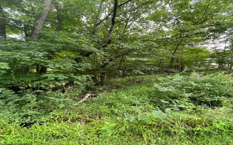 TBD Glassworks Road, Buckhannon, West Virginia 26201, ,Lots/land,For Sale,Glassworks,10163099