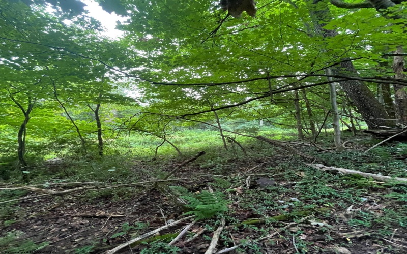 TBD Glassworks Road, Buckhannon, West Virginia 26201, ,Lots/land,For Sale,Glassworks,10163099